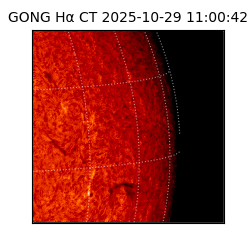 gong - 2025-10-29T11:00:42