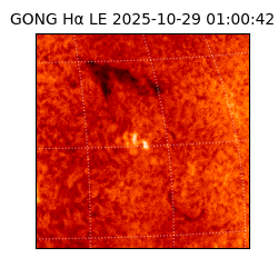 gong - 2025-10-29T01:00:42