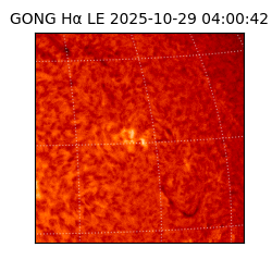 gong - 2025-10-29T04:00:42