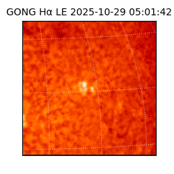 gong - 2025-10-29T05:01:42