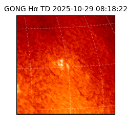 gong - 2025-10-29T08:18:22