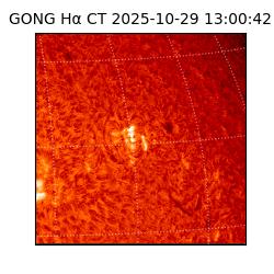 gong - 2025-10-29T13:00:42