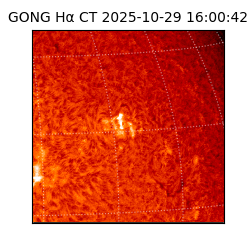 gong - 2025-10-29T16:00:42