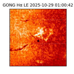 gong - 2025-10-29T01:00:42