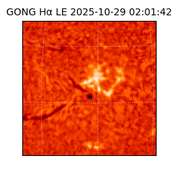 gong - 2025-10-29T02:01:42