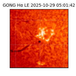 gong - 2025-10-29T05:01:42