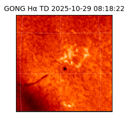 gong - 2025-10-29T08:18:22