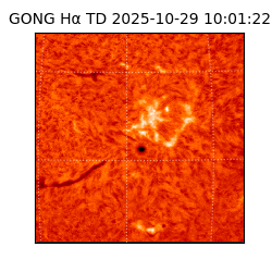 gong - 2025-10-29T10:01:22