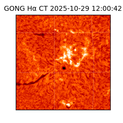 gong - 2025-10-29T12:00:42