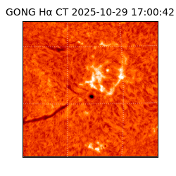 gong - 2025-10-29T17:00:42