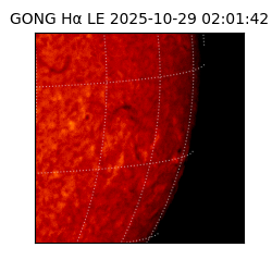 gong - 2025-10-29T02:01:42