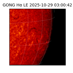 gong - 2025-10-29T03:00:42