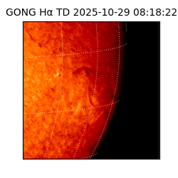 gong - 2025-10-29T08:18:22