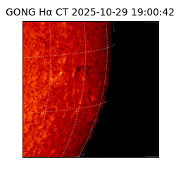 gong - 2025-10-29T19:00:42