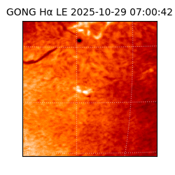 gong - 2025-10-29T07:00:42