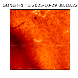 gong - 2025-10-29T08:18:22