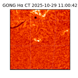 gong - 2025-10-29T11:00:42