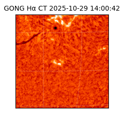 gong - 2025-10-29T14:00:42
