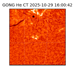 gong - 2025-10-29T16:00:42