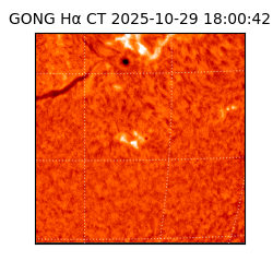 gong - 2025-10-29T18:00:42