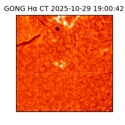 gong - 2025-10-29T19:00:42