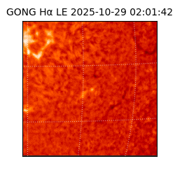 gong - 2025-10-29T02:01:42