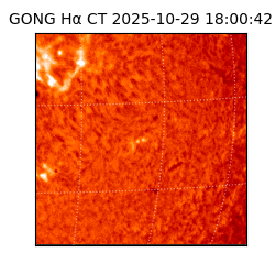 gong - 2025-10-29T18:00:42
