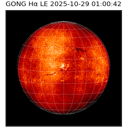gong - 2025-10-29T01:00:42