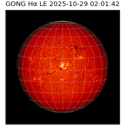 gong - 2025-10-29T02:01:42
