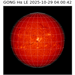gong - 2025-10-29T04:00:42