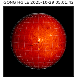 gong - 2025-10-29T05:01:42