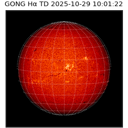 gong - 2025-10-29T10:01:22