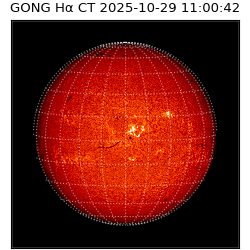 gong - 2025-10-29T11:00:42