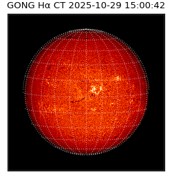 gong - 2025-10-29T15:00:42