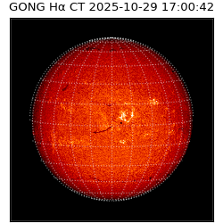 gong - 2025-10-29T17:00:42
