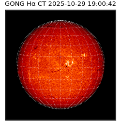 gong - 2025-10-29T19:00:42