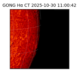 gong - 2025-10-30T11:00:42