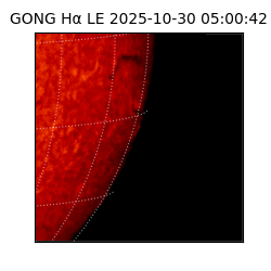 gong - 2025-10-30T05:00:42
