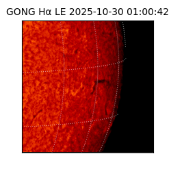 gong - 2025-10-30T01:00:42
