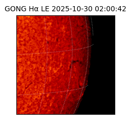 gong - 2025-10-30T02:00:42