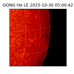 gong - 2025-10-30T05:00:42