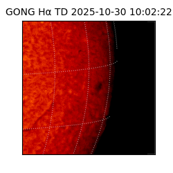 gong - 2025-10-30T10:02:22
