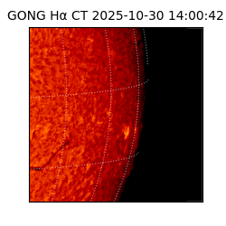 gong - 2025-10-30T14:00:42