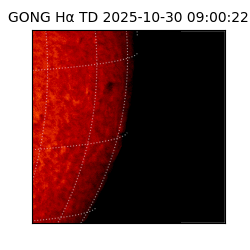 gong - 2025-10-30T09:00:22