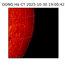 gong - 2025-10-30T19:00:42