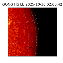 gong - 2025-10-30T02:00:42