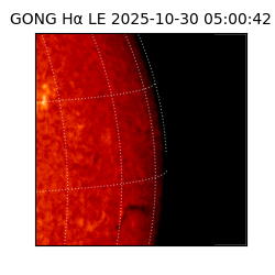 gong - 2025-10-30T05:00:42