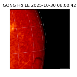 gong - 2025-10-30T06:00:42