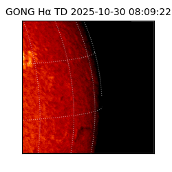 gong - 2025-10-30T08:09:22