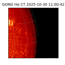 gong - 2025-10-30T11:00:42